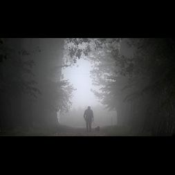 dreams creatures visions
