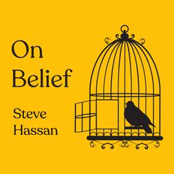 episode steve hassan
