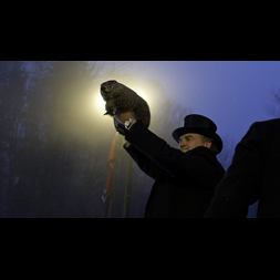 groundhog day