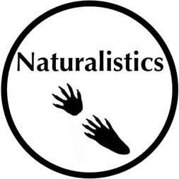 heuristics corner