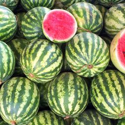 most dangerous fruit in america