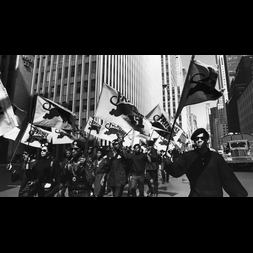 real black panthers