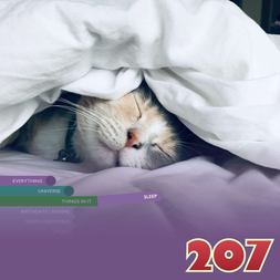 sleep
