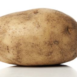 this spuds for you