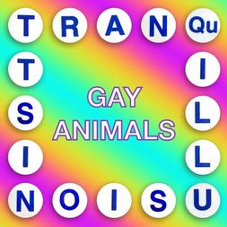 gay animals