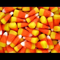 trick or treat soul cakes candy corn sugar skulls galore