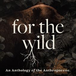 tyson yunkaporta on inviolable lore